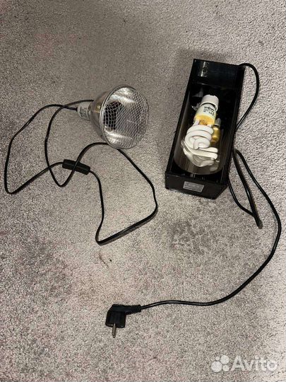 Террариум для рептилий