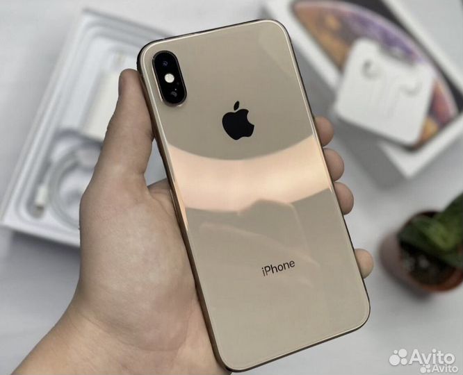 iPhone