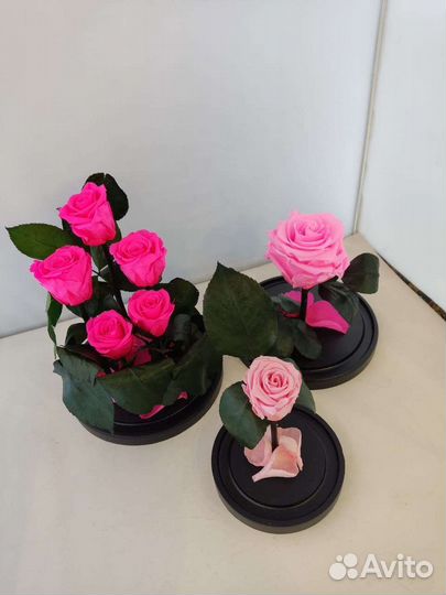 Розы оптом