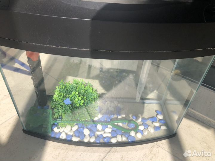 Аквариум
