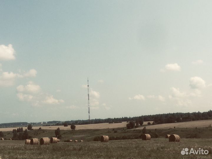 Продам сено в рулонах