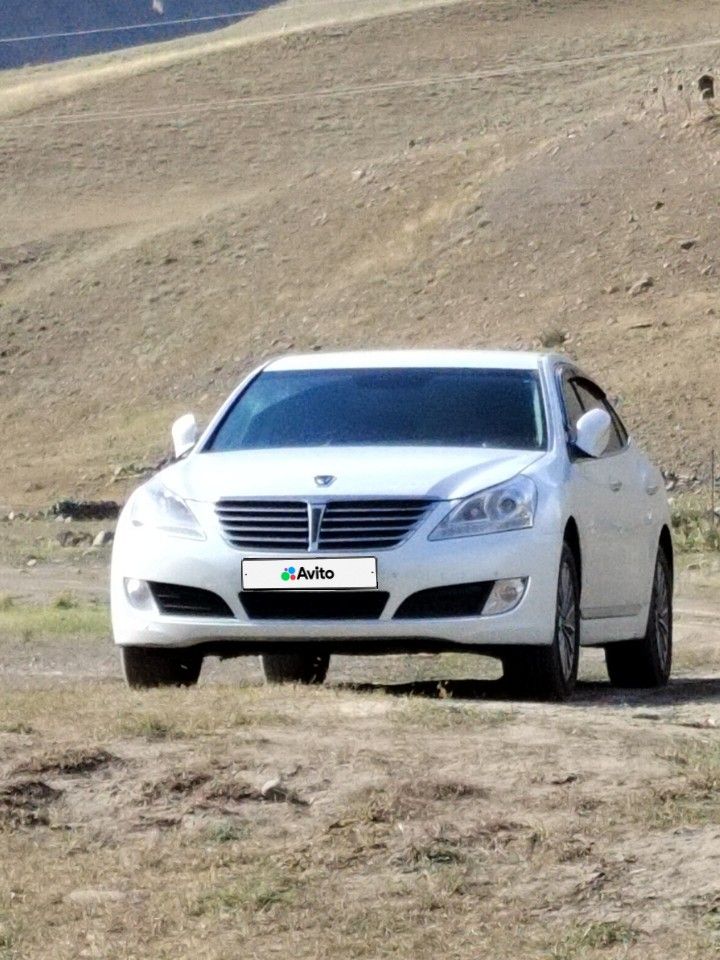 Hyundai Equus: фото владельца