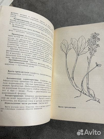 Лекарственные растения в медицине и в быту лот