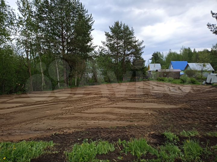 Участок 9,8 сот. (СНТ, ДНП)