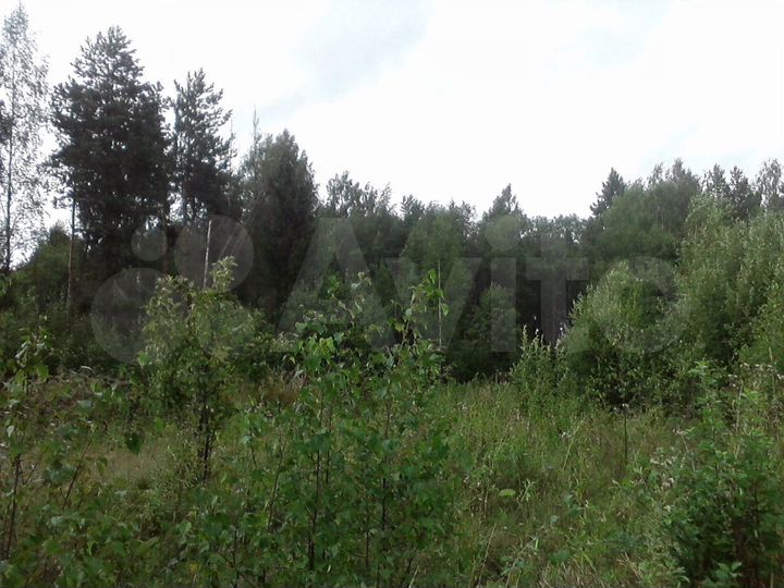 Участок 15 сот. (ИЖС)