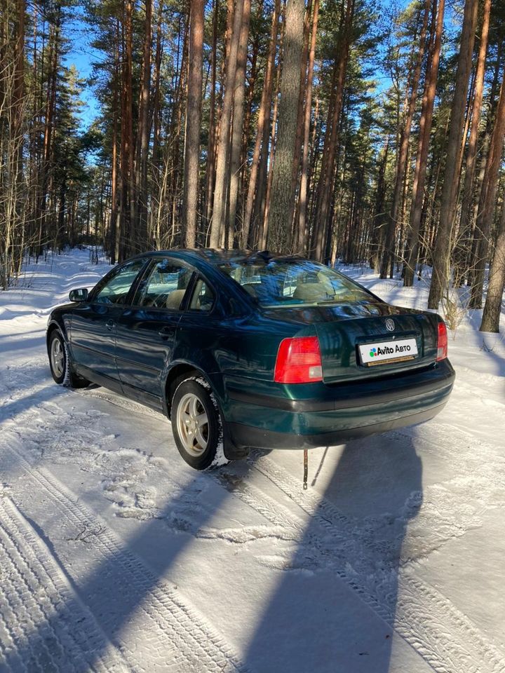 Volkswagen Passat: фото владельца