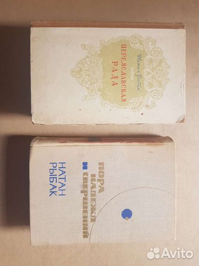Натан Рыбак