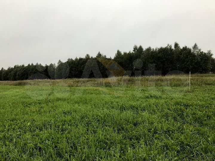 Участок 60 сот. (СНТ, ДНП)