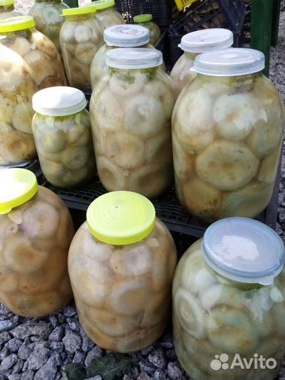 Продам сухие, сырые грузди солёные