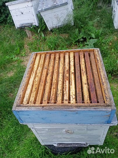 Ульи дадан 12 рамочный