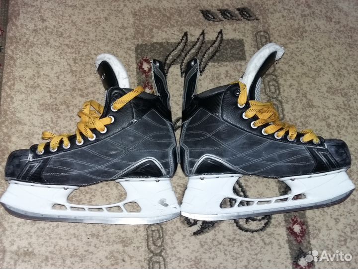Коньки bauer nexus 1000
