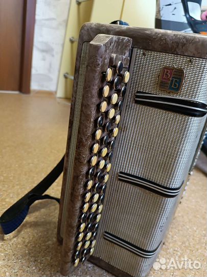 Баян вологодский СССР