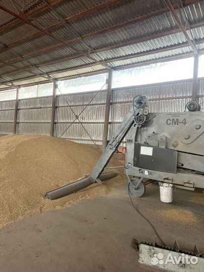 Зерноочиститель воронежсельмаш овс 25