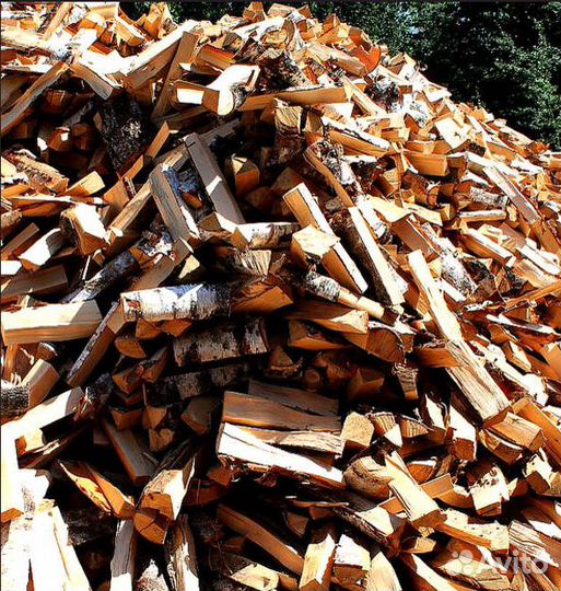 Дрова береза