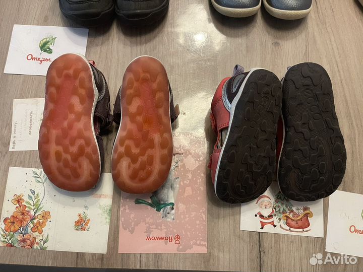 Ecco для девочки