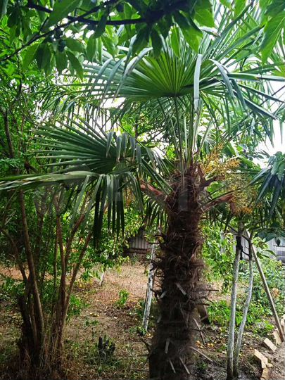 Дача 80 м² на участке 10 сот.