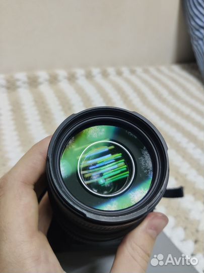 Nikon d80 + sigma 70-300