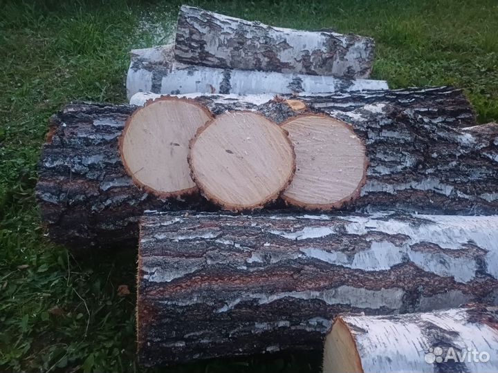 Березовые спилы