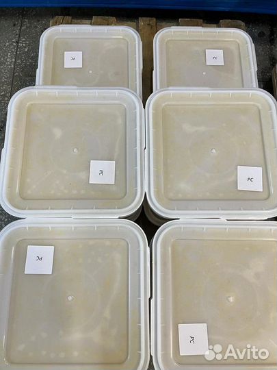 Мёд натуральный Майский. 2023г оптом