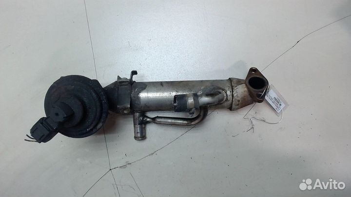 Охладитель отработанных газов Ford Transit, 2001