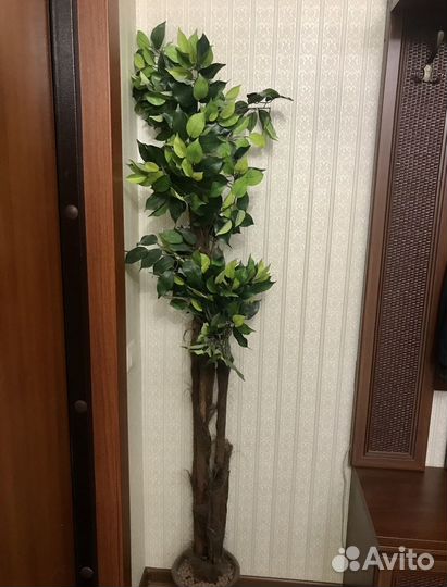 Искусственная пальма