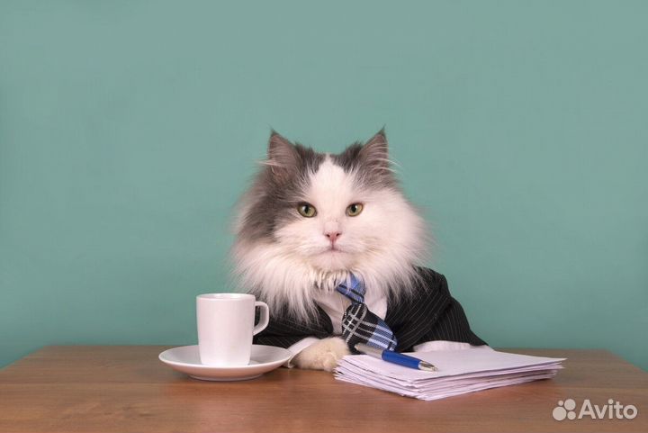 Администратор