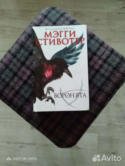 Книга Воронята