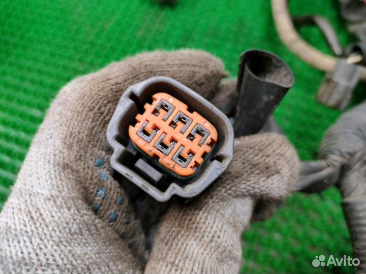 Проводка (коса) подкапотная Infiniti Fx35 S50