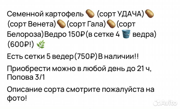 Семенной картофель