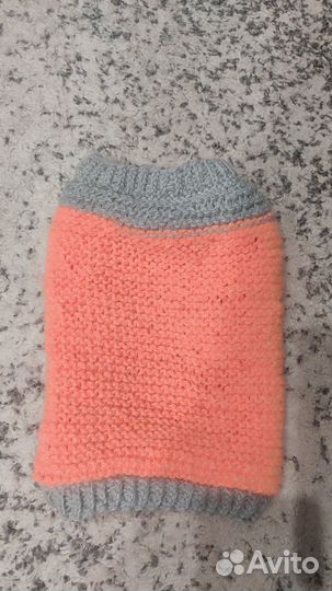 Одежда для собак