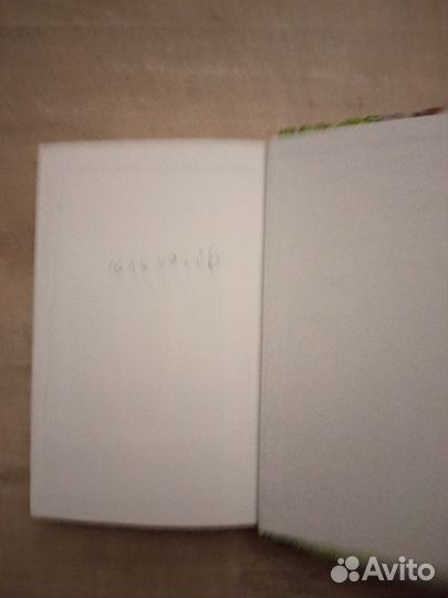 Александр Усанин. Пропуск в третье тысячелетие