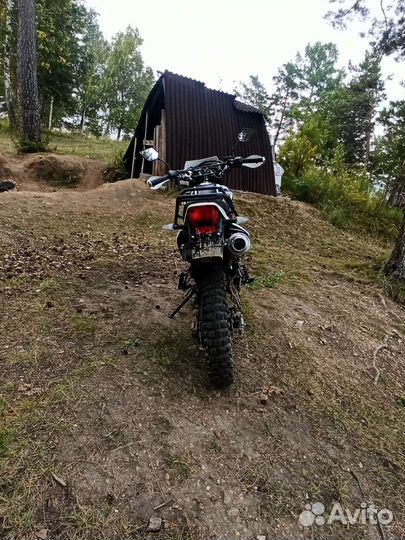 Racer panther 250