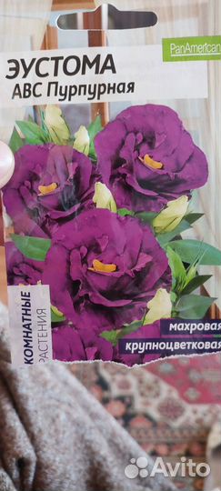 Эустома рассада