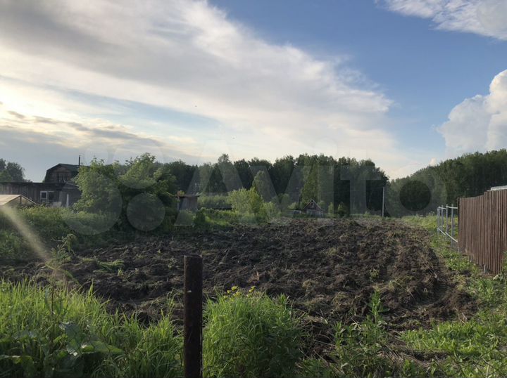 Участок 22 сот. (СНТ, ДНП)