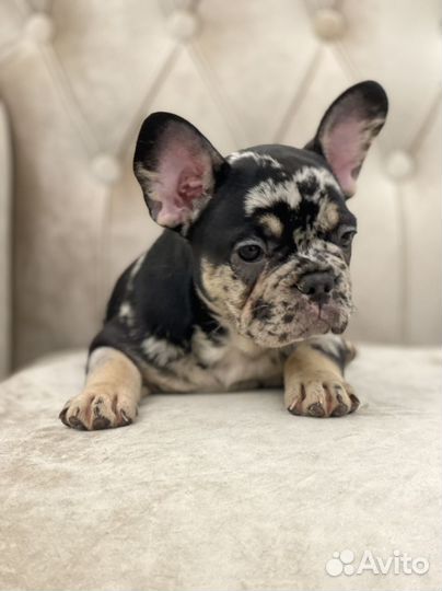 Мраморное чудо