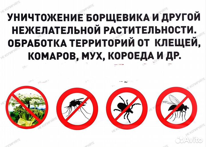 Обработка территорий от клещей