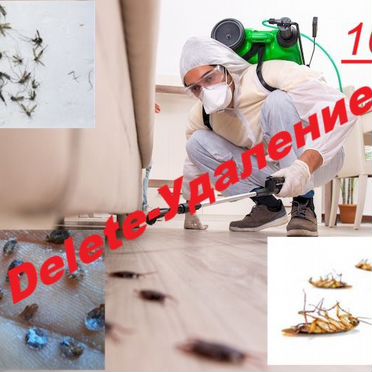 Бесплатная помощь дезинсектору