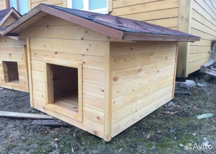 Собачья будка