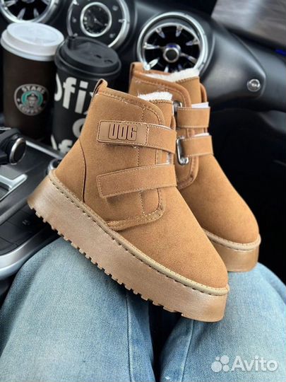 Женски Угги UGG Зимняя Обувь