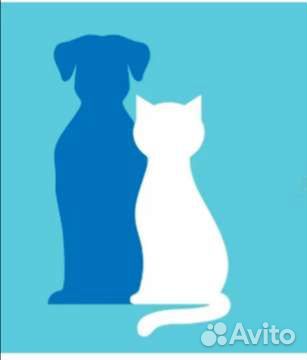 Стерелизация кошек,кастрация котов