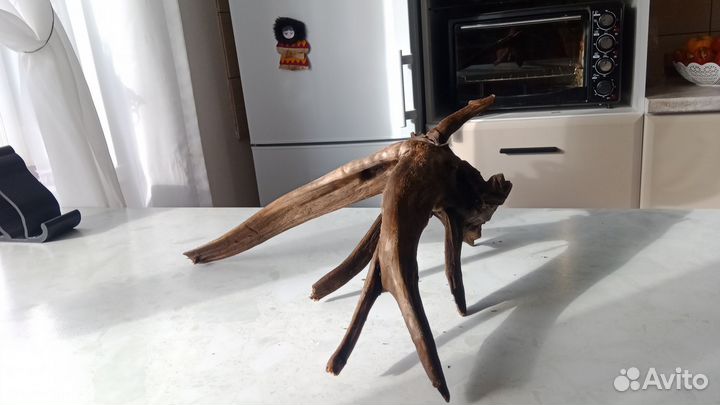 Коряжки для аквариума