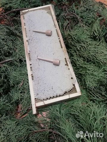 Медовые Соты Цветочные предгорные 2023