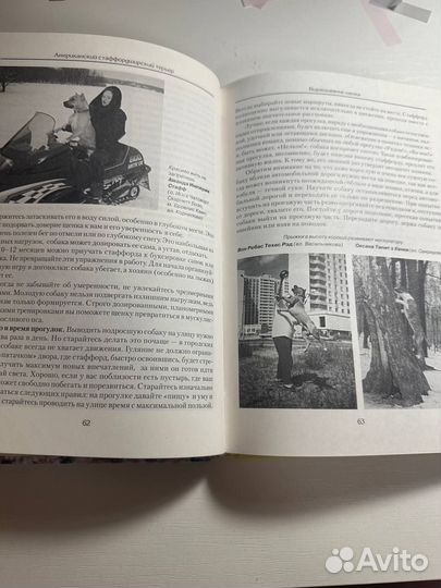 Книга «Шоменов. Американский стаффордширский терье