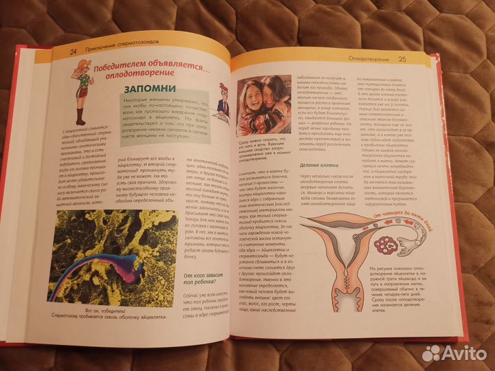 Энциклопедия для девочек