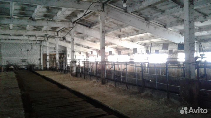 Действующее сельскохозяйственное предприятие