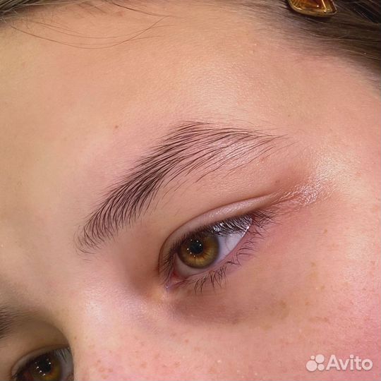 Мастер бровист