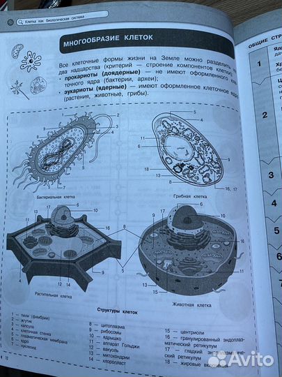 Справочник егэ биология