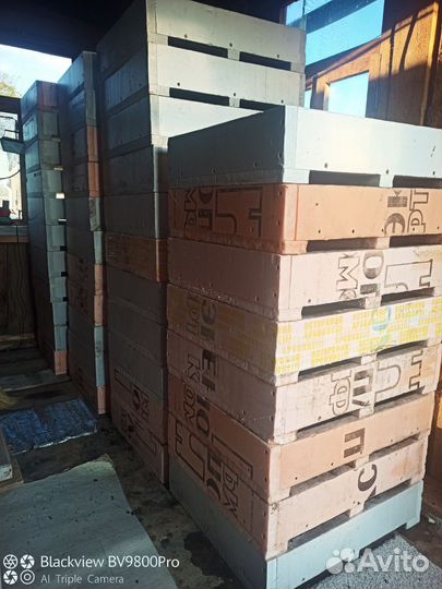 Черви для рыбалки дендробена