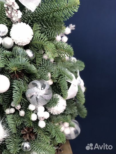 Елка новогодняя живая с доставкой