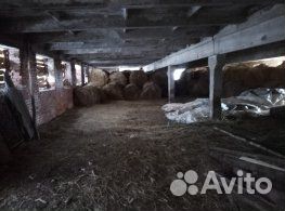 Животноводческая ферма продаю